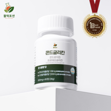 활력포션 콘드글리칸 (콘드로이친 프로테오글리칸), 60정, 2박스