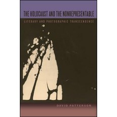 The Holocaust and the Nonrepresentable Paperback, State University of New Yor..., English, 9781438470047