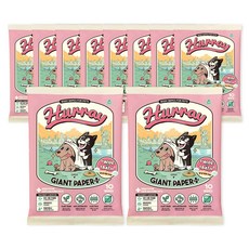 허레이 자이언트페이퍼 반려동물 물티슈 빅사이즈 바디티슈 동물용의약외품 인증, 10세트, 10개입