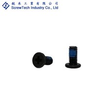 銳禾 M2.5x5 I頭 十字槽 機械牙 鍍黑鋅 100入 防鬆螺絲, 1個