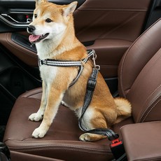 1p/2p 강아지 안전벨트 데님 차량용 반려동물 반려견 애완견 고정 보호, 2개, 검정