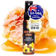 굿데이 허니 NEW 안티더스트 프로폴리스 스프레이, 1개