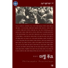 미셀 푸코(큰글자살림지식총서 157)