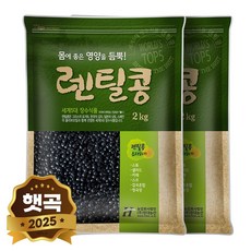현대농산 검정 렌틸콩 블랙 렌즈콩 2kg, 2개