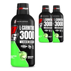프로섭스 L-카르니틴 3000 그린 애플, 473ml, 3개