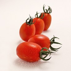 [산지마켓] 신선한 건강 대추 방울토마토 로얄과, 로얄과1.5kg, 1개