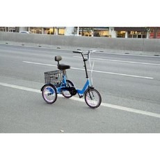 성인용세발자전거 어른 세바퀴 3륜 보관함 입문용 짐칸 짐받이 동승 어르신 블랙 수레, D. 16인치 블루, 1개