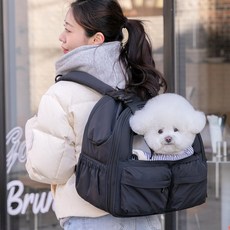 펫츠랜드 몽드 강아지 고양이 백팩 이동가방 캐리어 +이너쿠션 세트, 블랙 M + 이너쿠션세트, 1개