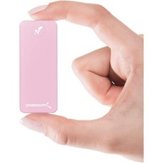 SABRENT 1TB 로켓 나노 외장 알루미늄 SSD 최대 1000MBs 빨간색 SB1TB나노빨간색, 2TB, Pink