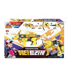 주영 메타트리케