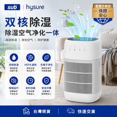 hysure 雙核除濕空氣淨化機 高效除濕 HEPA濾網 負離子淨化, Q10