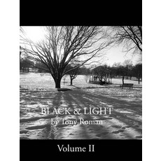 (영문도서)BLACK and LIGHT - Volume II (series) Hardcover, Blurb, English, 9798261181644