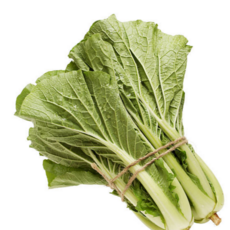 [굿피플] 얼갈이배추 얼갈이4kg 열무 배추얼갈이, 1개, 얼갈이배추 1kg