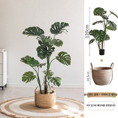 몬스테라 인조 식물 대형 나무 조화 플랜테리어 장식, 24.5cm 바구니+몬스테라120cm, 1세트