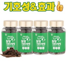 강아지 기관지 호흡기 영양제 거위소리 켁켁거림 감기 기침 댕이수랏간 침향 기관지청청 100g, 95정, 호흡기/기관지, 4개
