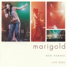 하마다 마리 블루레이 디스크 DVD LIVE 2002 메리골드 일본 발송