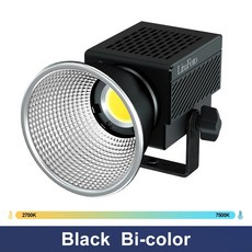 Litufoto 야외 비디오 녹화용 LED 조명 사진 스튜디오 램프 U8 60W 2700k 7500k, 2) Black Bi색상, 1개