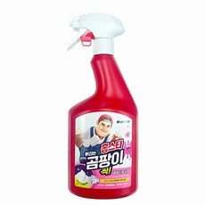 홈스타 맥스프레쉬 뿌리는 곰팡이 싹 세정제, 900ml, 1개