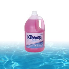 크리넥스 물비누 손 세정제 솝 플로랄향 4Lx1개, 4L, 1개