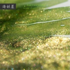 BANMI 鋼筆墨水 星球金粉款 18ml, 1個, 海妖星Parthenope