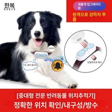 고양이 위치추적기 야옹이 오렌지 위치 반려묘 1개, 기본 구성품, 블루 중대형