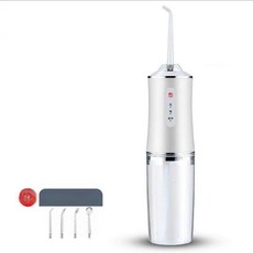 진심글로벌 전동치실 전동칫솔 구강세정기 휴대용, 1개, L69 프리미엄 아이보리 [노즐 4개 포함], 기본 모델명/품번