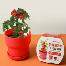 가드닝키트-방울토마토