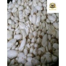 국내산 새송이 총알 콩알 새송이버섯, 1개, 콩알새송이버섯10kg