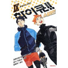 하이큐!! 소설판!! 9, 대원씨아이(단행)(대원키즈), 하이큐 소설판