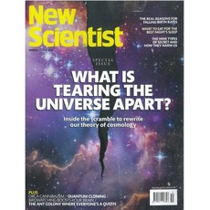 New Scientist (주간) : 2026년 03월 07일