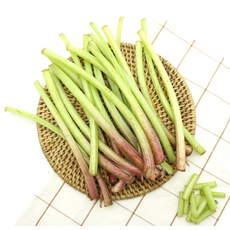 국내산 생 머위대 200g 400g 1kg, 1개