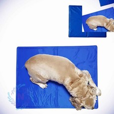 강아지 쿨매트 S 애완견쿨패드 반려견강아지쿨매트