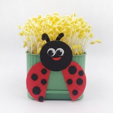 사각시루 무당벌레 콩나물 키우키 세트 국산콩 40g 콩나물 기르기 재배기, 1세트