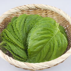 자연의맛 향이다른 명품 찹찹이 깻잎, 1박스, 200g