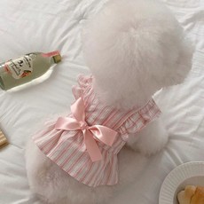 DFMEI 春夏季薄款仙女碎花連衣裙公主裙貓咪狗狗衣服兩腳寵物衣服貓衣服, 1個, 粉色飛袖