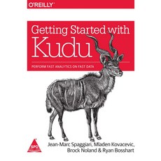 Getting Started with Kudu: Perform Fast Analytics on Fast Data Paperback:, O'Reilly Media