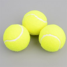 룸플리 테니스공 테니스볼 경기용 시합구 3P 트레이너볼 시합용 연습구
