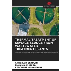 (영문도서)Thermal Treatment of Sewage Sludge from Wastewater Treatment Plants Paperback, Our Knowledge Publishing, English, 9786630275377