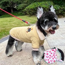 강아지 겨울용 두꺼운 면 코튼 재킷 소형견용, S 0.5-1.5kg, 카키 5m끈포함
