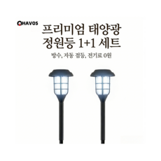 Havos 태양광조명 분위기조명 태양광정원등 방수무선 야외정원가구 태양광led야외등 1+1 세트, 흰빛