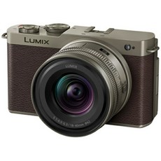LUMIX S9 DC-S9N-N Panasonic파나소닉 광각 줌 렌즈 킷 미러리스 일안 카메라