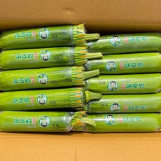 농진사 애호박 인큐 국내산 특품, 20개, 300g