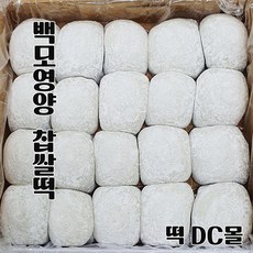 (떡DC몰) 백모영양모찌 왕찹쌀떡 견과류듬뿍 영양찹쌀떡 (100g20알) 2kg 굳지않는떡 선물용 행사떡 국내산 찹쌀사용, 1박스