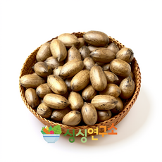 전남영광 국내산 피칸 생피칸 통피칸 500g, 1개