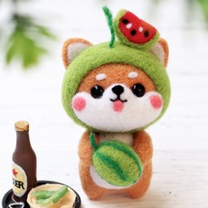 치프몰 양모펠트 DIY 패키지 세트, 1개