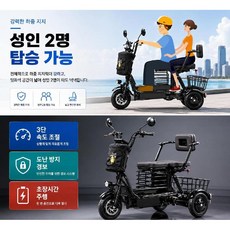 벨로트라잉 세발자전거48v 40/60km주행거리 가족용과 노인용 효도선물 쇼핑 마트 배달용, 블랙  주행거리 40km