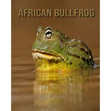 African Bullfrog: Children's Books --- Fun Facts & Cool Pictures Paperback, Independently Published