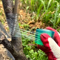 접붙임 접목용 광분해 접목테이프 4cm, 1개