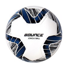 비바스포츠 바운스 족구공 4호, 1개