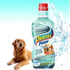 덴탈후레쉬 독 오리지널 503ml/애견위생용품/구강관리, 503ml, 1개, 단품